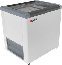 Ларь морозильный Frostor GELLAR FG 300 С серый
